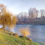 IMG_20161226_1513431-300×225