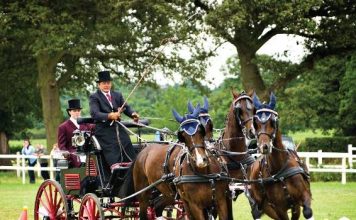Rijetko viđen spektakl u Banjaluci!