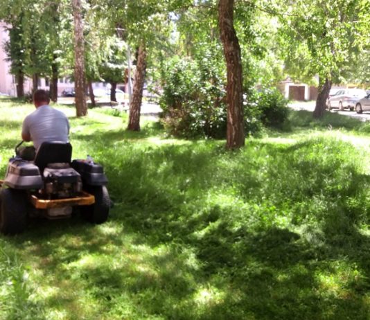 Progledali, počelo košenje zelenih površina