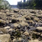 obala vrbasa centar4