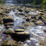 obala vrbasa centar5