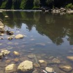 obala vrbasa centar6