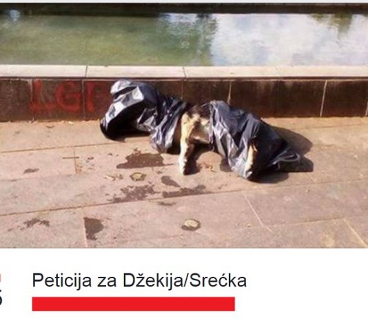 Peticija za Džekija – Ljubitelji životinja traže istragu