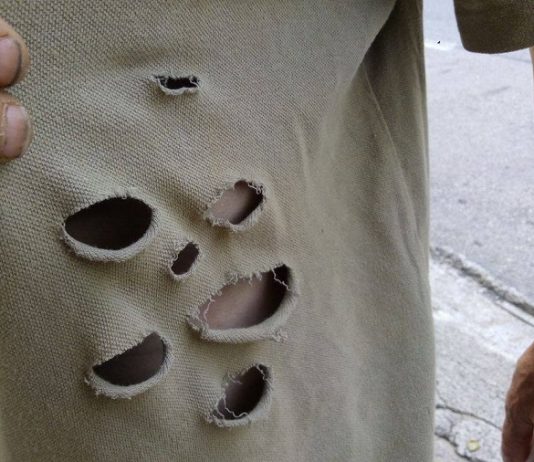 Medvjed napao čovjeka u Rekavicama