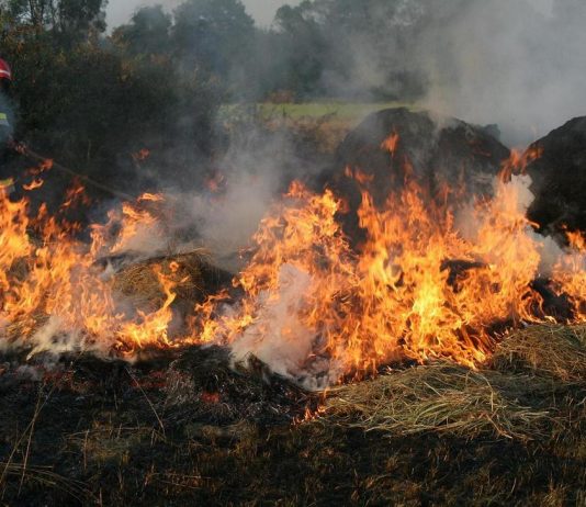 Apel iz civilne zaštite da se ne pali vatra na otvorenom