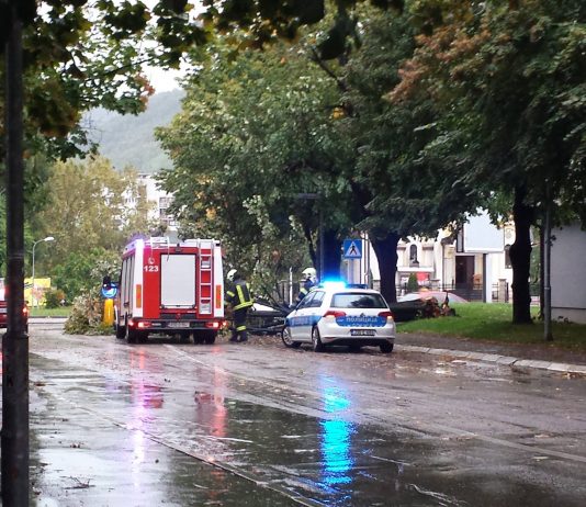 Srušilo se stablo i blokiralo saobraćaj