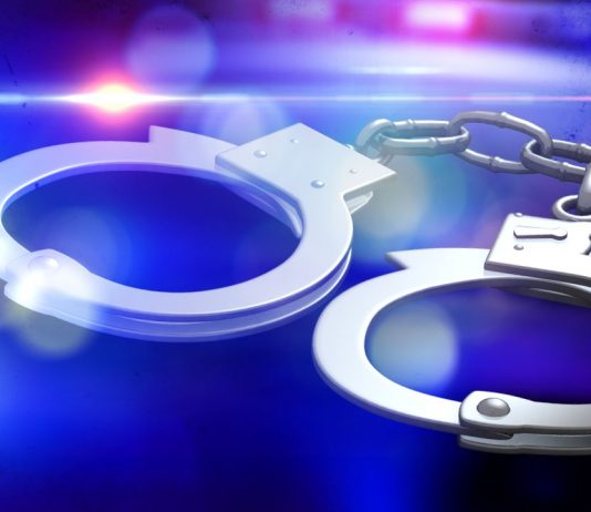Policija uhapsila batinaše sa Lauša