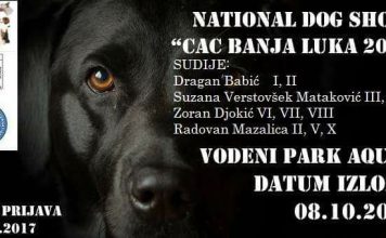 Očekuje se više od 200 pasa na Akvani, “CAC Banjaluka 2017”