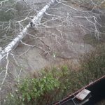 IMG-662df7f4636ec05d0a9bfd34a51170c1-V