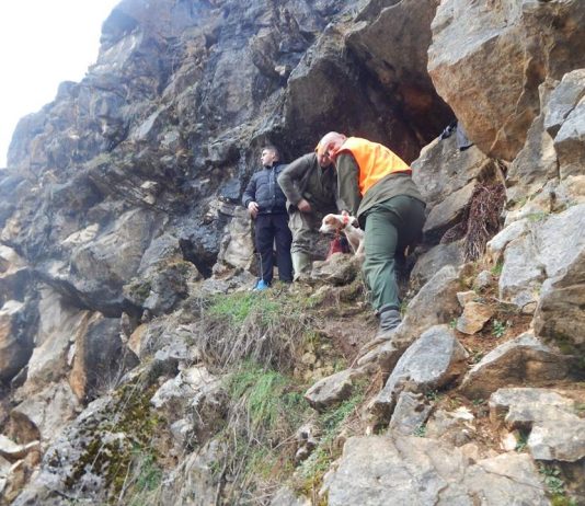 Spasili lovačke pse iz špilje