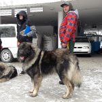 20180225_104926-800×450