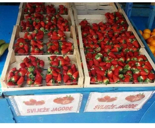 Kilogram jagoda 8 KM