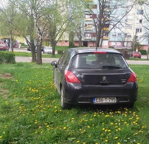 Parkig majstor/Za ovo treba biti “umjetnik”