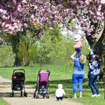 IMG-b2d0635e64ffc4fd134a688daaeae2f6-V