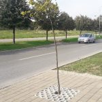 20180914_155621-459×816