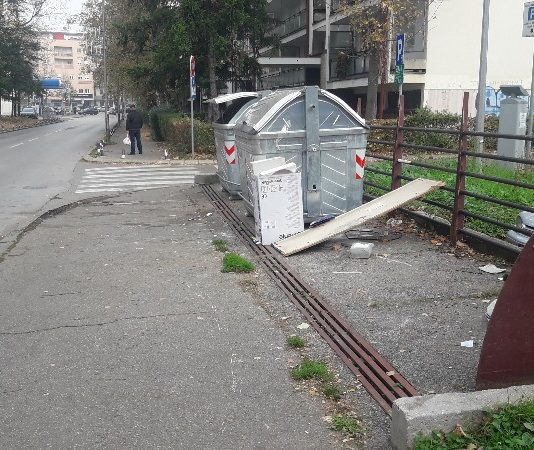 Kazna, intervencija ili nešto treće? Kontejneri postavljeni na mjesto