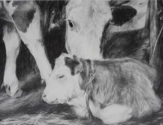 Izložba “Na barama” u Kulturnom centru UDAS