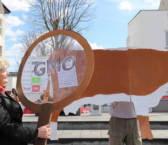 Ekolozi na Trgu Krajine priredili performans sa svinjom i kravom