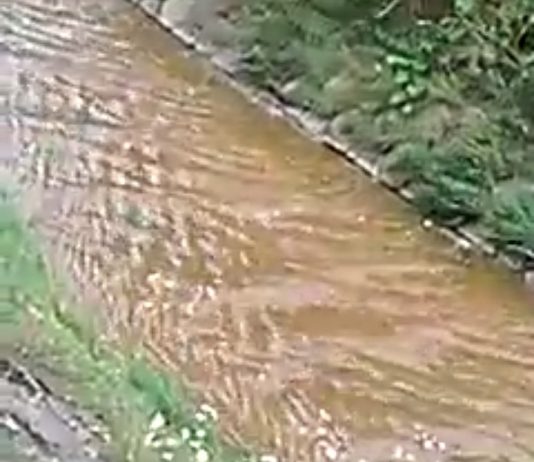 Video/ Crkvena ponovo zagađena