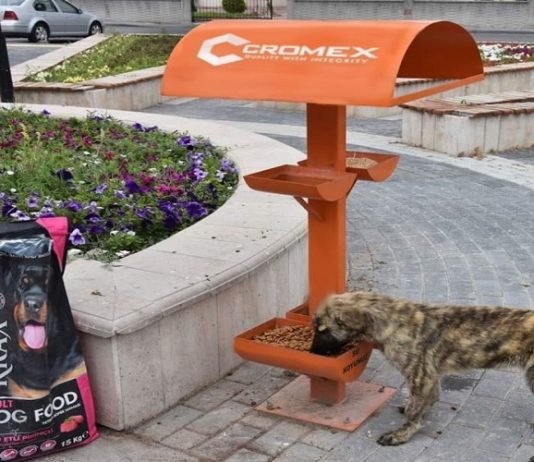 Od avgusta hranilice za pse, mačke i ptice na četiri lokacije