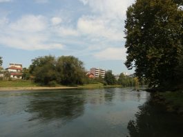 Prema prognozama bez novih padavina, vodostaji u opadanju