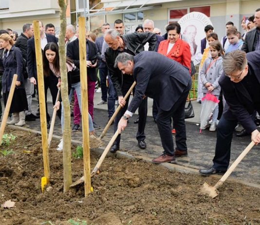 Osnovci zasadili drvored na Istočnom tranzitu