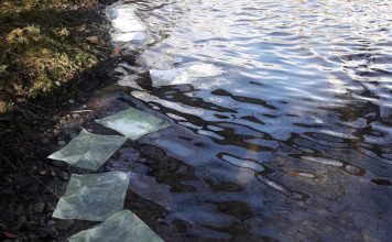 Iscurila nafta u Vrbas, iz Vodovoda poručuju da je sve pod kontrolom