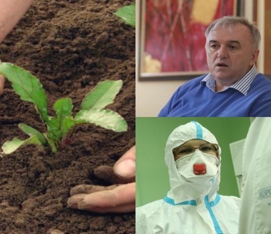 Obustaviti javne radove, čuvati novac, sijati bašte