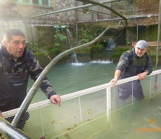 Foto/Banjalučki ribari brinu o Vrbasu i “potočari”