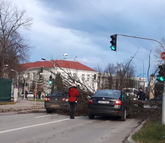 Vjetar oborio drvo na automobile