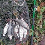 IMG_20201225_132640_copy_800x682