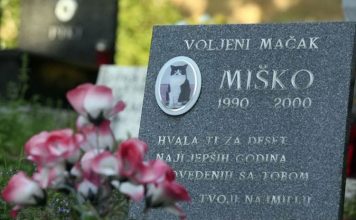 Na groblju kućnih ljubimaca za godinu sahranjeni samo papagaj i mačka