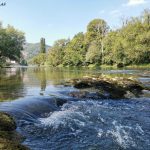 IMG_20200909_120616_copy_909x682