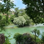 vrbas_carolija_copy_1024x682