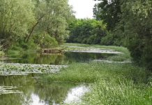 Banjalučani i Sarajlije upoznaju djecu o prirodi Posavine