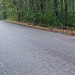 Drvo krcmarice1