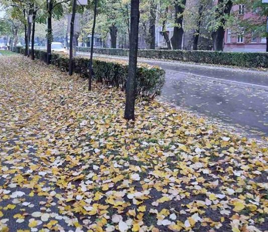 Oprez/”Žuta poledica” na trotoarima