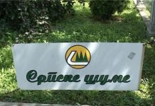 “Šume RS” u gubitku, krive vremenske neprilike