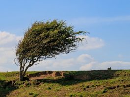 Izdato narandžasto upozorenje za olujni vjetar