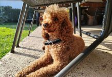 Flopi još nije pronađen