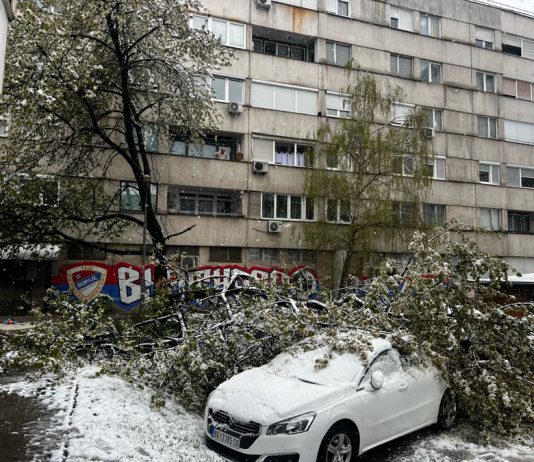 Martovske snježne muke